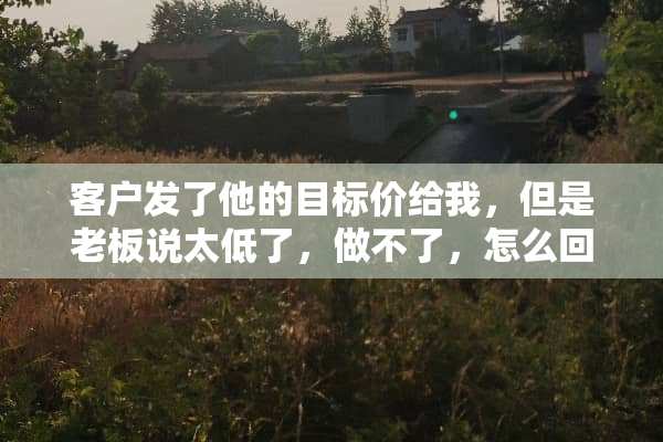 客户发了他的目标价给我，但是老板说太低了，做不了，怎么回