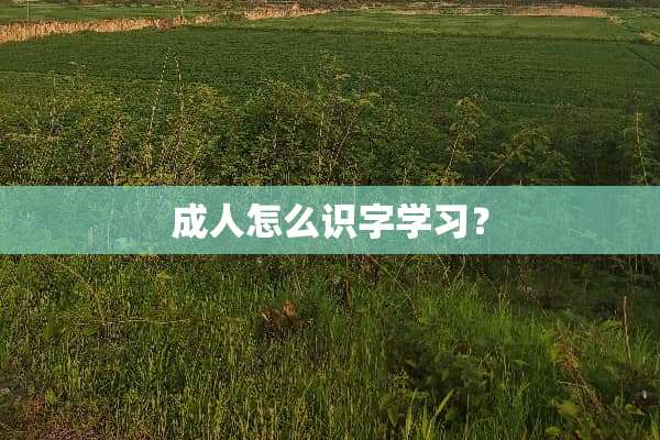 **怎么识字学习？
