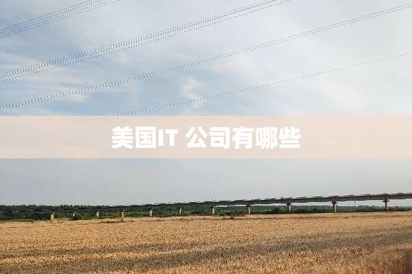 美国IT 公司有哪些