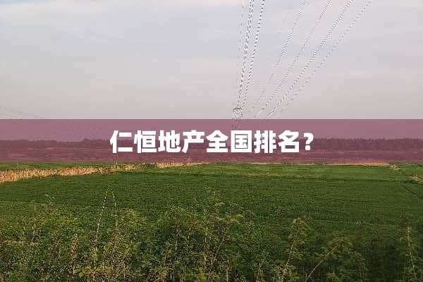 仁恒地产全国排名？