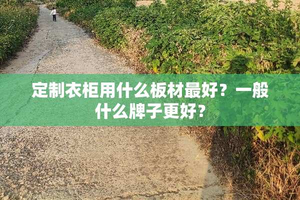 定制衣柜用什么板材最好？一般什么牌子更好？
