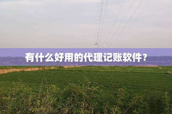 有什么好用的代理记账软件？