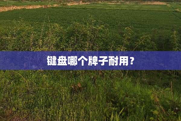 键盘哪个牌子耐用？