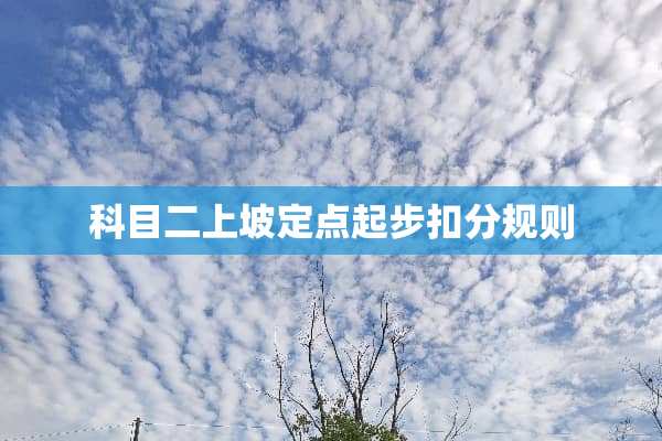 科目二上坡定点起步扣分规则
