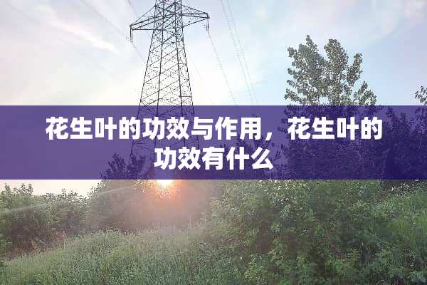 花生叶的功效与作用，花生叶的功效有什么