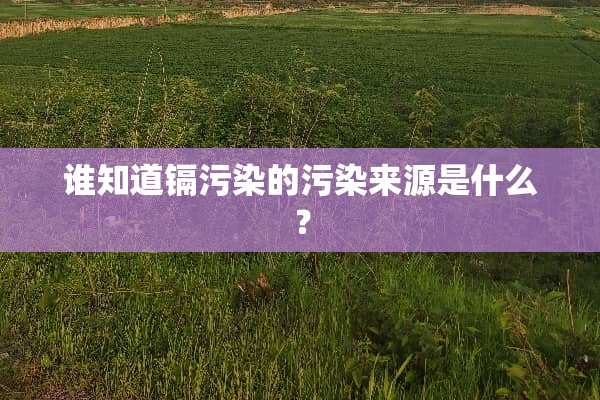 谁知道镉污染的污染来源是什么？