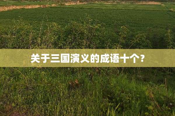 关于三国演义的成语十个？