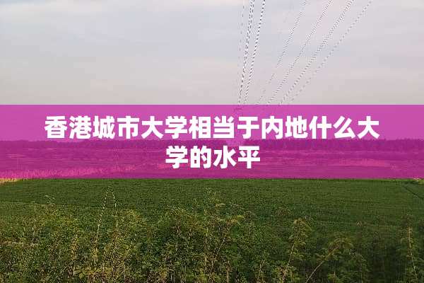香港城市大学相当于内地什么大学的水平
