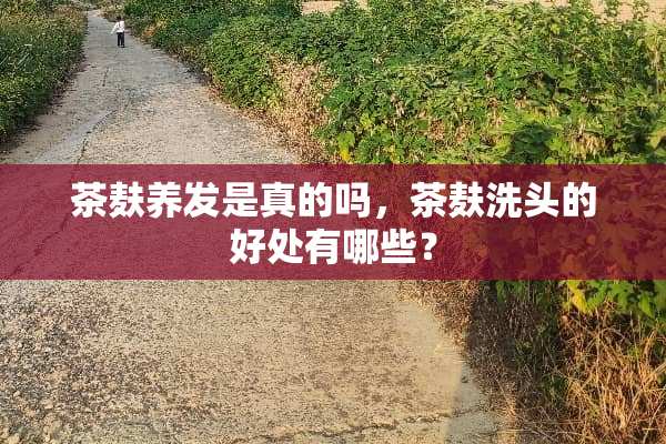 茶麸养发是真的吗，茶麸洗头的好处有哪些？