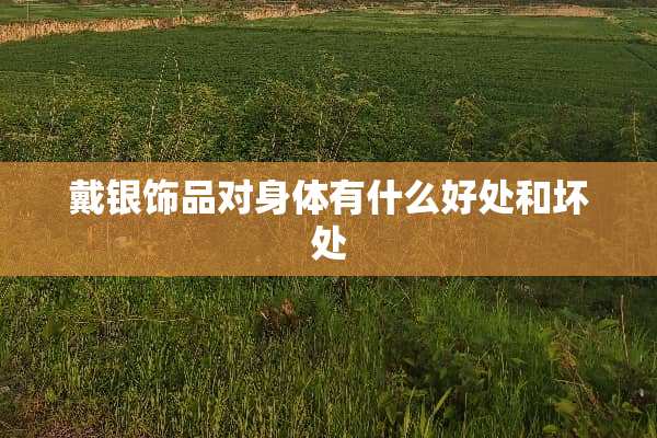戴银饰品对身体有什么好处和坏处