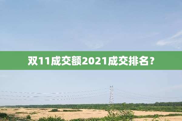 双11成交额2021成交排名？