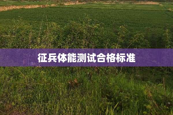 征兵体能测试合格标准