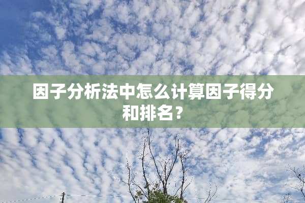 因子分析法中怎么计算因子得分和排名？