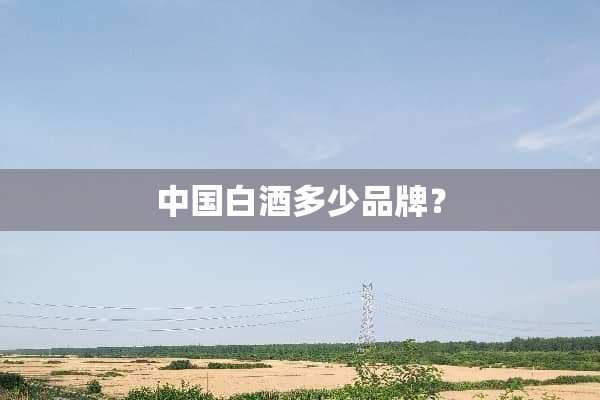 中国白酒多少品牌？