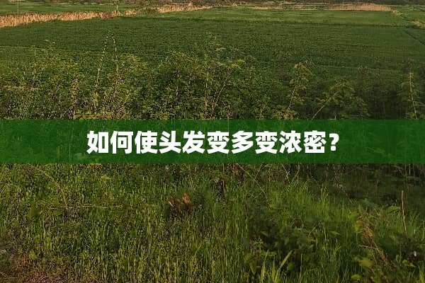 如何使头发变多变浓密？