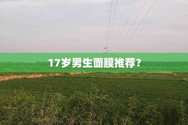 17岁男生面膜推荐？