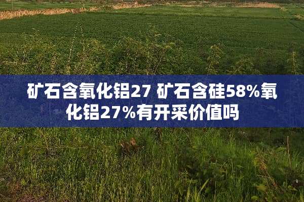 矿石含**铝27 矿石含硅58%**铝27%有开采价值吗
