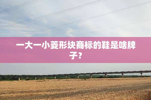 一大一小菱形块商标的鞋是啥牌子？