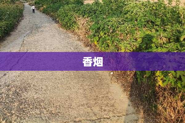 香烟