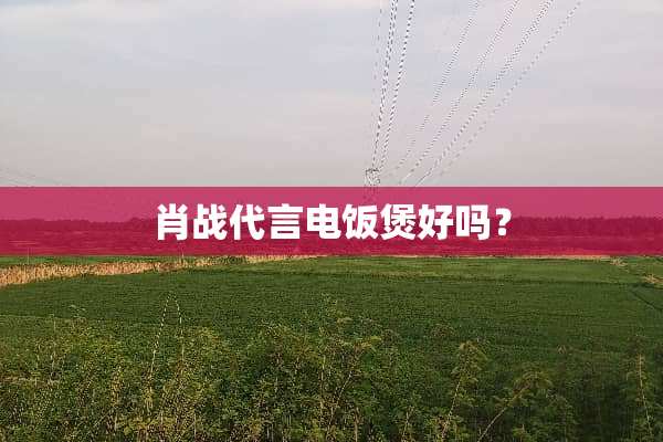 肖战代言电饭煲好吗？