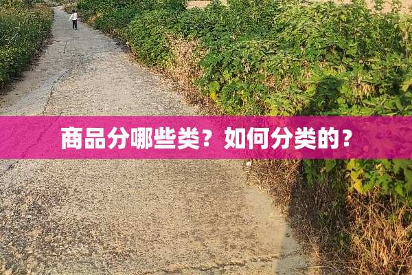 商品分哪些类？如何分类的？