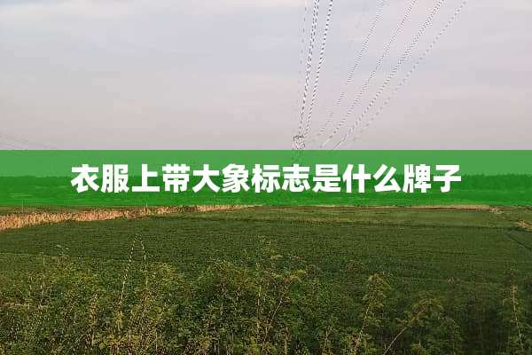 衣服上带大象标志是什么牌子