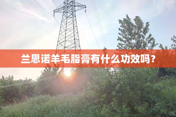 兰思诺羊毛脂膏有什么功效吗？
