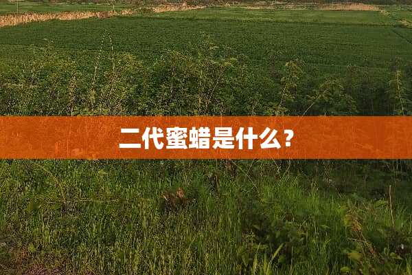 二代蜜蜡是什么？