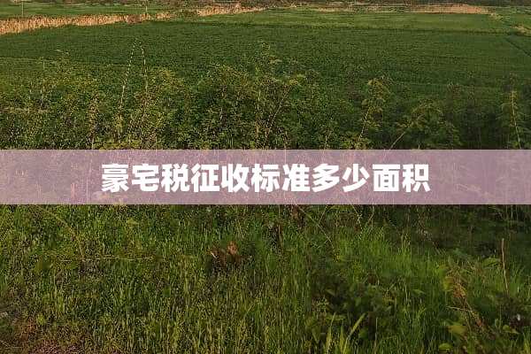 豪宅税征收标准多少面积