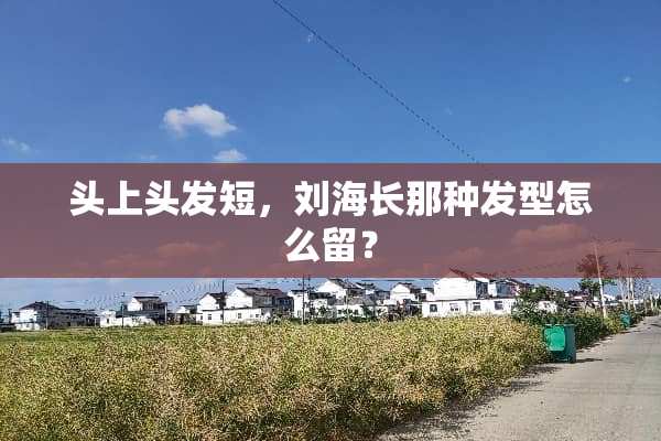 头上头发短，刘海长那种发型怎么留？