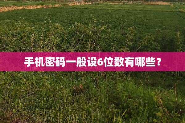 手机密码一般设6位数有哪些？