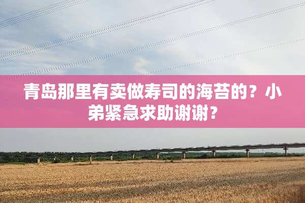 青岛那里有卖做寿司的海苔的？小弟紧急求助谢谢？