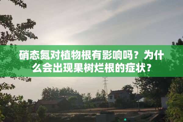 硝态氮对植物根有影响吗？为什么会出现果树烂根的症状？