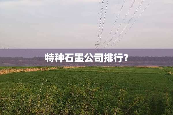 特种石墨公司排行？