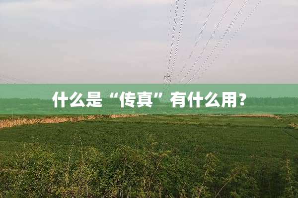 什么是“传真”有什么用？