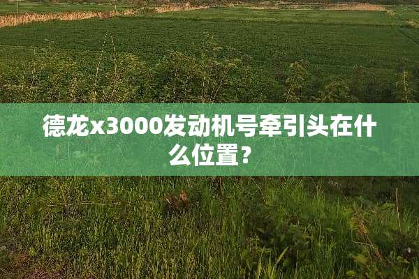 德龙x3000发动机号牵引头在什么位置？