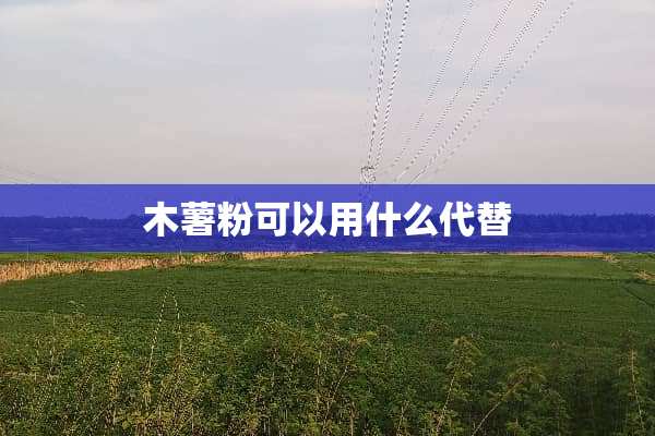 木薯粉可以用什么代替