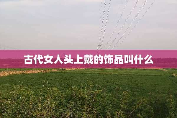 古代女人头上戴的饰品叫什么