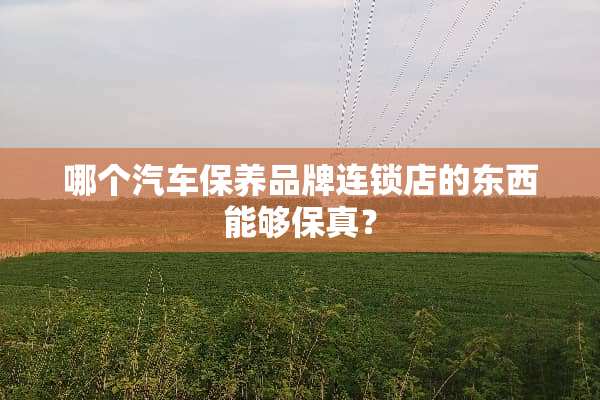 哪个汽车保养品牌连锁店的东西能够保真？