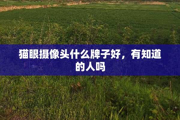 猫眼**头什么牌子好，有知道的人吗