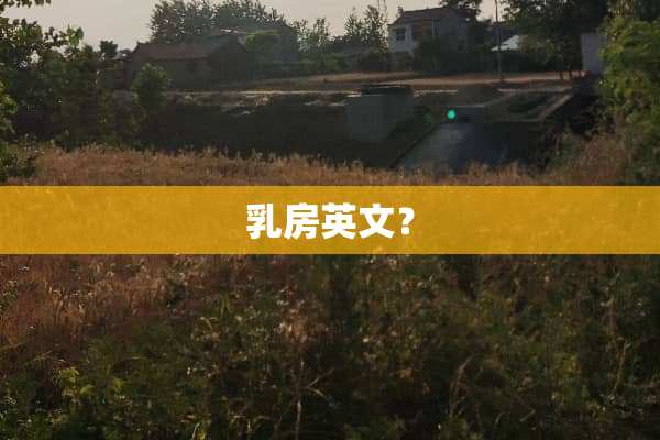 *房英文？