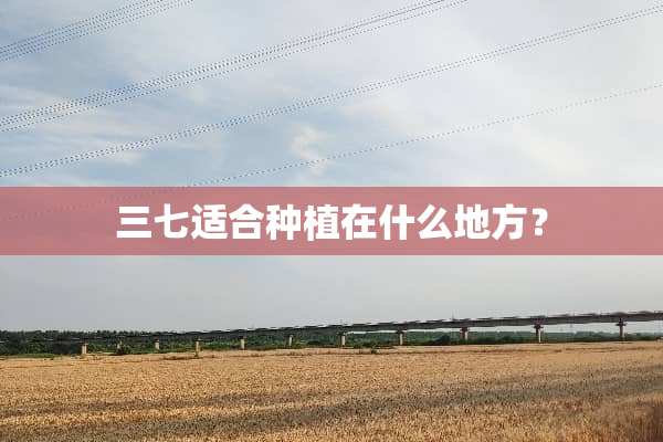 三七适合种植在什么地方？