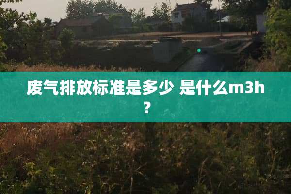 废气排放标准是多少 是什么m3h？