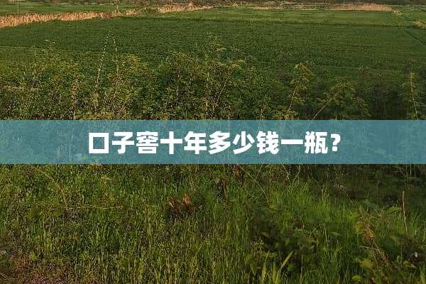 口子窖十年多少钱一瓶？