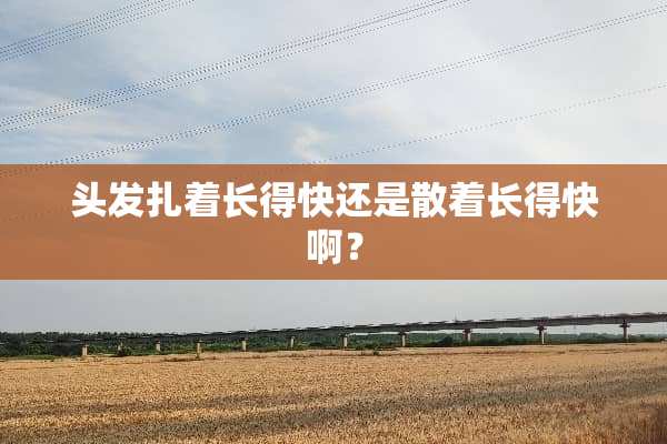 头发扎着长得快还是散着长得快啊？