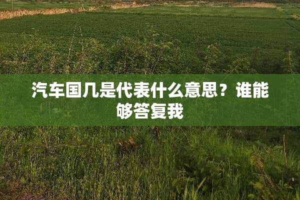 汽车国几是代表什么意思？谁能够答复我