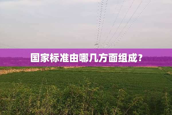 国家标准由哪几方面组成？