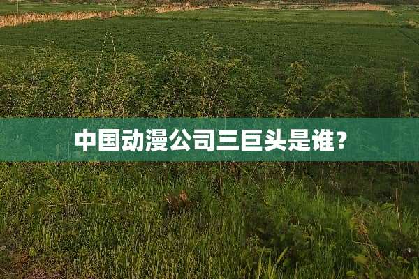 中国动漫公司三巨头是谁？