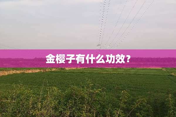 金樱子有什么功效？