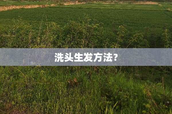 洗头生发方法？